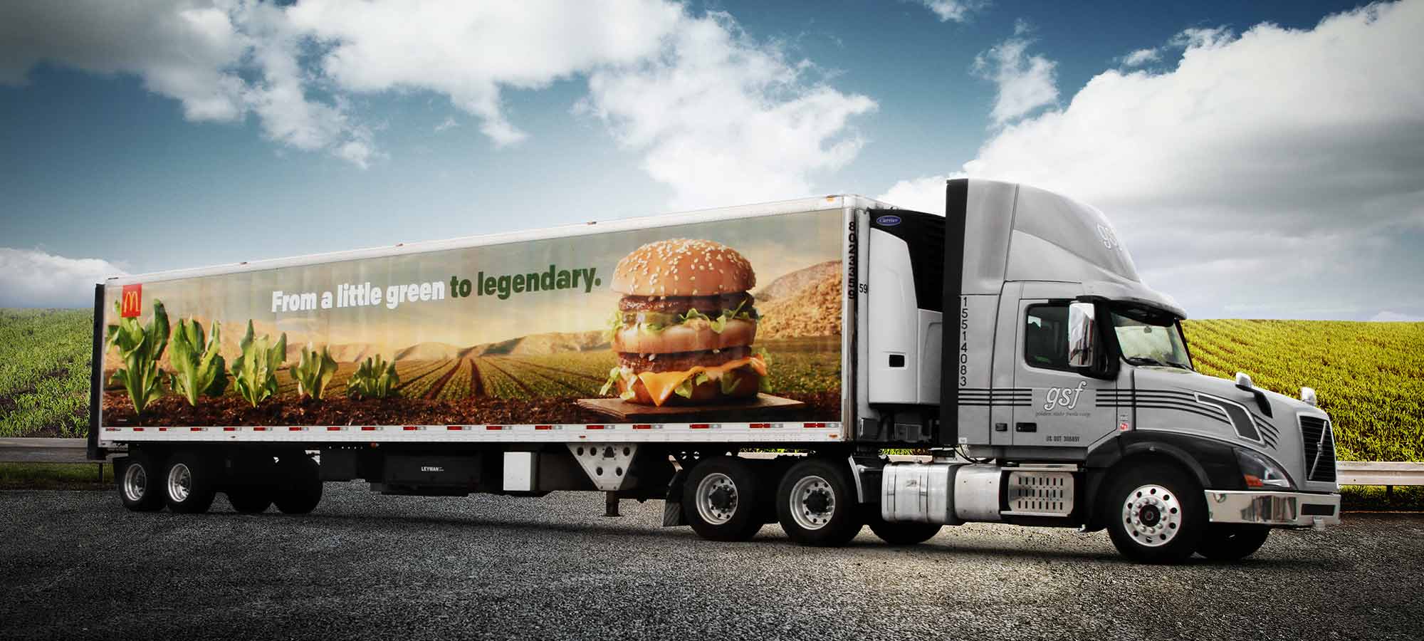 Importance of Protecting your Graphics